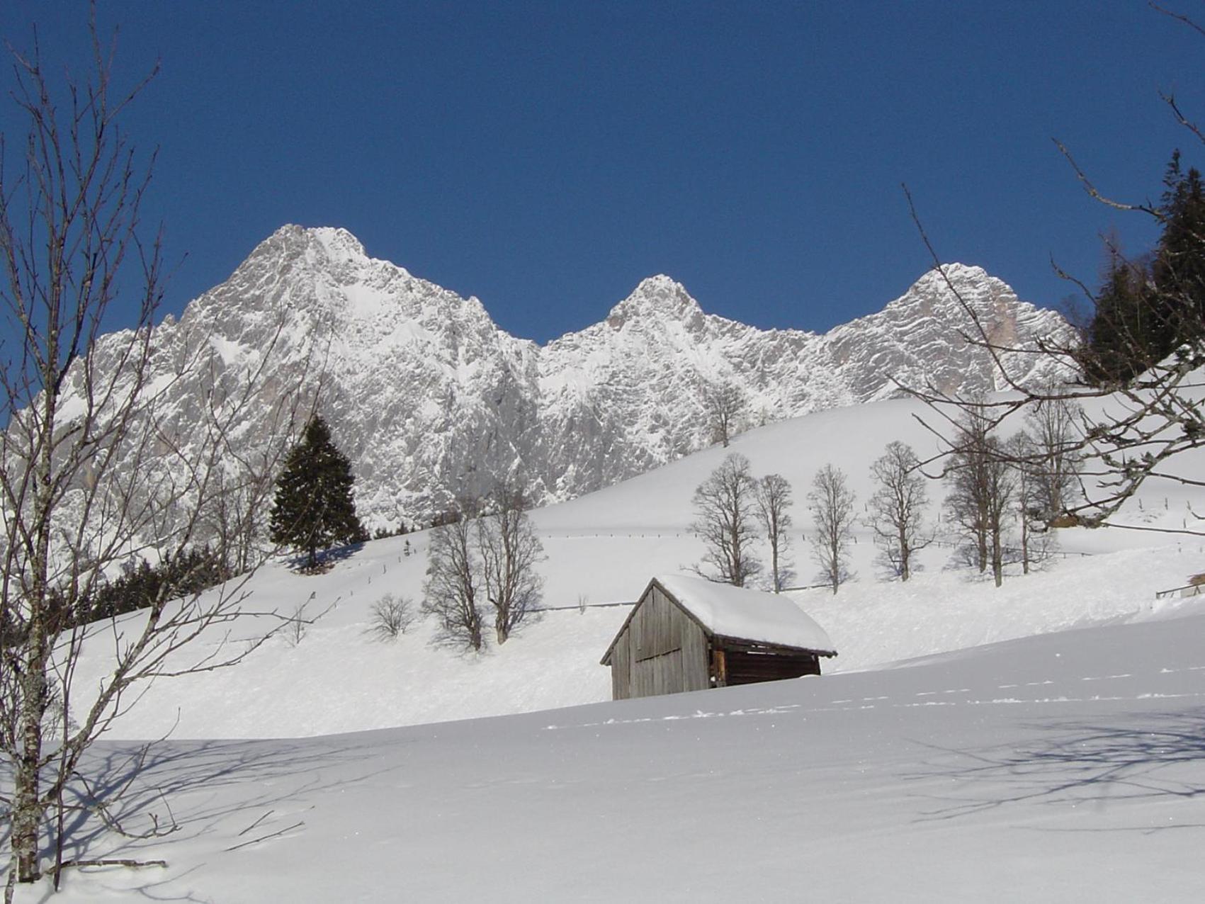 Pension Bartlbauer Ramsau am Dachstein Exterior photo